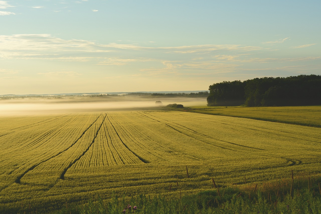 Land Transfer Tax Ontario PPS Law