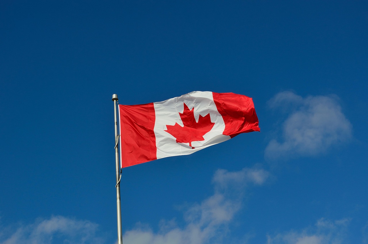 Understanding Immigration Appeal