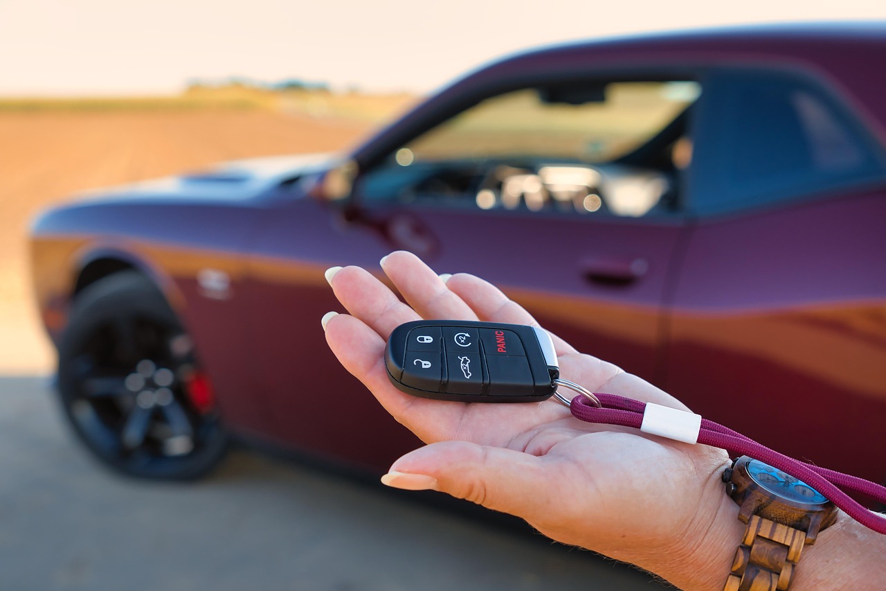 Vehicle transfer document in mississauga